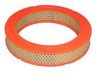 FIAT 4434897 Air Filter